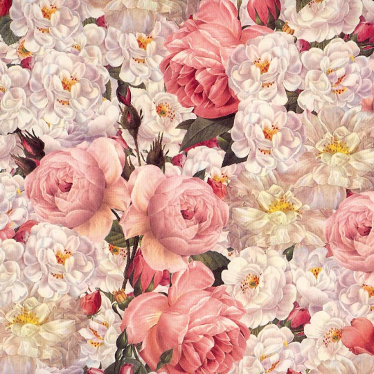 Cabbage Roses Italian Paper ~ Tassotti